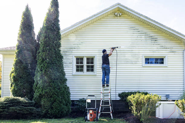 Best Pressure Washing Driveway  in Mayo, FL